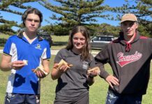 Faces at the Highgrove ram sale on KI: PHOTOS