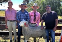 Florance family host Border Leicester ram sale on Kangaroo Island