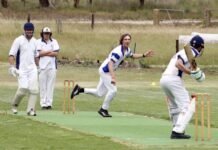Senior cricket action from season opener on KI: PHOTOS