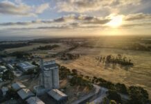 Prepare your KI property for fire danger season to avoid a fine