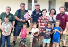 Faces at Little Wedgewood combined ram sale : PHOTOS