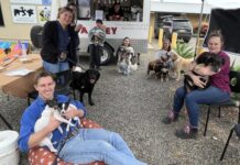 Veterinary Nurse and Technicians Appreciation Day on Kangaroo Island