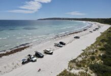 Have your say on 2023 Kangaroo Island Tourism Optimisation Management Model