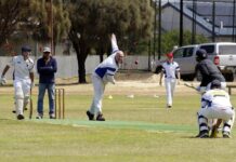 Kangaroo Island cricket welcomed back at Kingscote