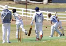 Kingscote falls to a spirited MacGillivray in KI cricket