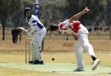 More senior cricket action from Wisanger: PHOTOS