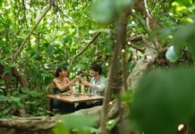 The amazing Enchanted Fig Tree opens its limbs again for diners on Kangaroo Island
