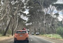 Kangaroo Island’s extensive roadworks on track, Hog Bay trees to be discussed at community meeting
