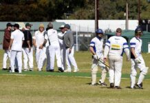 Senior cricket action from Kingscote: PHOTOS
