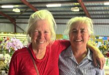 Results and winners from the 2023 Kingscote Show