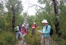 KI Wildlife Network and KI Research Station to hold conference