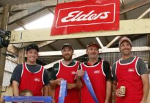 2023 Parndana Show shearing and wool results and faces: PHOTOS