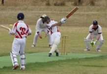MacGillivray Hawks soaring high in Kangaroo Island cricket