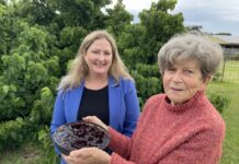 Challenges and triumphs