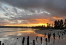 Vitamin sea and the power of ‘blue space’