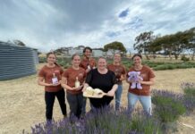 Much accomplished, lots ahead for Emu Bay Lavender Farm on KI