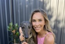 Greyhound welfare needs to improve