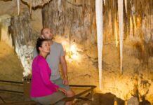 Kangaroo Island Wilderness Trail and Kelly Hill Conservation Park reopen after bushfire recovery