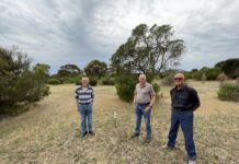 Baudin Beach reserve to be named in honour of the Sabels