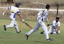 Shots from Shovel Shield