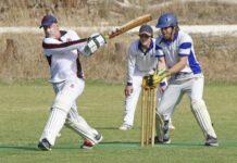 Shield won by MacGillivray