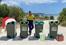 One day later Christmas week waste collection; weekly recycling over summer peak