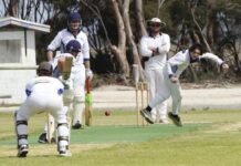Hawks soar over Panthers in Kangaroo Island cricket