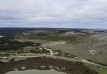 Have your say on eastern Kangaroo Island parks management plan
