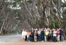 Kangaroo Island residents demand greater road safety on Hog Bay Road