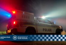 Police investigate damage to 52 road signs across Kangaroo Island