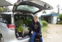 Kangaroo Island Garden Club to celebrate 25 years with special open day, featuring Sophie Thomson