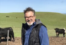 Tooperang Beef Cattle stud invites KI farmers to its bull sale, free transport provided