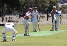 Parndana has comfortable win, books spot in KI cricket finals