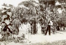 American River Community Garden to host special planting, sod turning