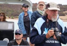Kangaroo Island/Victor Harbor Dolphin Watch ambassador Melody Horrill joins survey