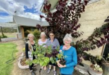 Kangaroo Island Garden Club members excited about anniversary