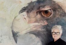 What does ‘A Walk on the Wild Side’ look like?