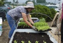 Head to Lilyrose this Sunday for the KI Garden Club 25th celebration