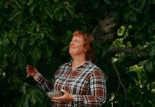 Head chef Alana Brabin returns to The Enchanted Fig Tree inspired by food memories