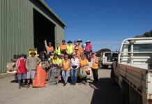 Letter: Clean up along North Coast Road by progress associations