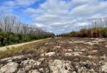 Seven new access tracks included in updated fire management plan for KI parks