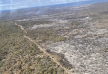 Autumn prescribed burns now underway on Kangaroo Island