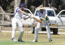 Senior cricket action from last game of regular season: PHOTOS
