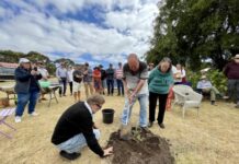 American River community garden launched with tree planting