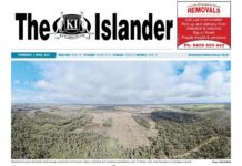 Accusations of koala deaths in Kangaroo Island timber plantations