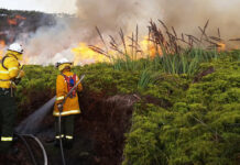 Prescribed burn for KI