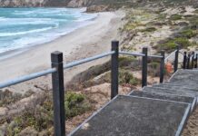 KI Council’s call for community feedback on future works