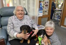 Bonnie and Clyde the dachshunds are caring canine companions on KI