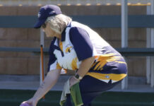 Pair of handy bowlers