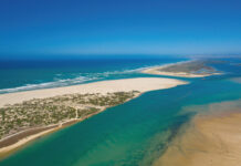 $17 million to improve South Australian shorebird and wetland habitat